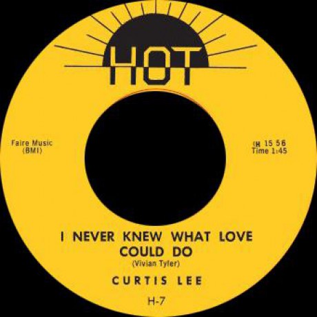 CURTIS LEE "I NEVER KNEW WHAT LOVE COULD DO / GOTTA HAVE YOU" 7"