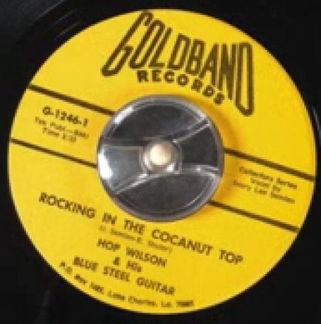 HOP WILSON "ROCKIN IN THE COCONUT TOP / CHICKEN STUFF" 7"