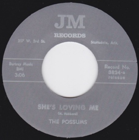 POSSUMS "SHE'S LOVING ME/KING IN HIS WORLD" 7"
