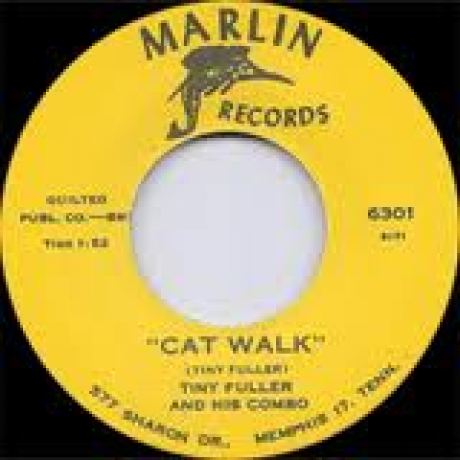 TINY FULLER "CAT WALK/ SHOCK" 7"