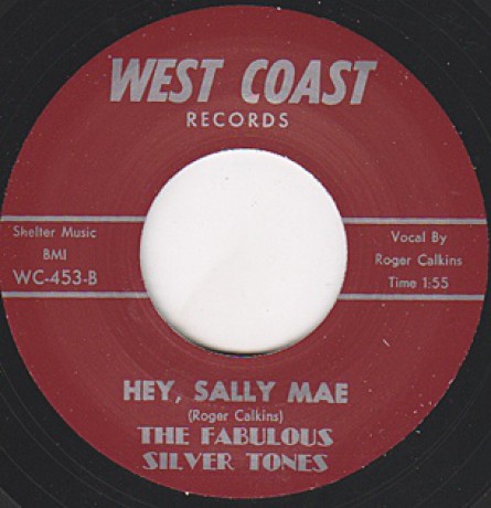 Fabulous Silver Tones ‎"Hey, Sally Mae / Stranger In Paradise" 7"