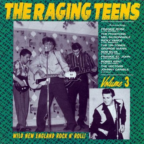 RAGING TEENS VOL 3 CD