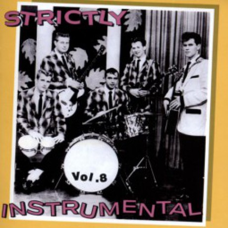STRICTLY INSTRUMENTAL VOL 8 cd