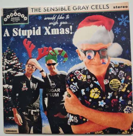 Sensible Gray Cells "A Stupid Xmas!" 7"