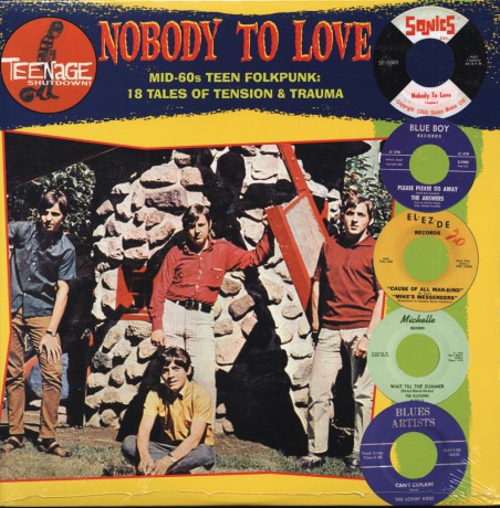 TEENAGE SHUTDOWN "NOBODY TO LOVE" LP
