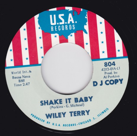 WILEY TERRY "SHAKE IT BABY" / MISS ANN LITTLES "I WILL BE GOT DOG" 7"