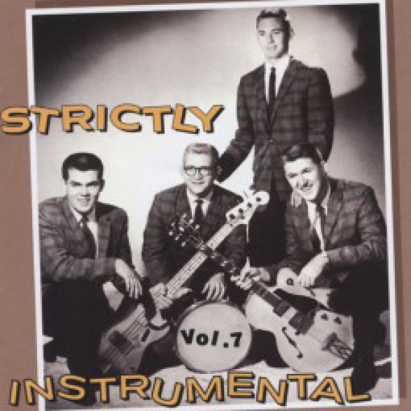 STRICTLY INSTRUMENTAL VOL 7 cd