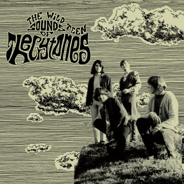 CRYTONES "The Wild Teen Sounds of..." LP