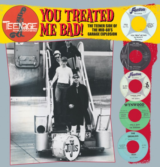 TEENAGE SHUTDOWN "YOU TREATED ME BAD" LP