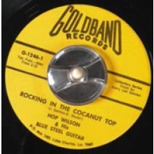HOP WILSON "ROCKIN IN THE COCONUT TOP / CHICKEN STUFF" 7"