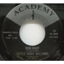 LITTLE JERRY WILLIAMS "HUM-BABY/SHE'S SO DIVINE" 7"