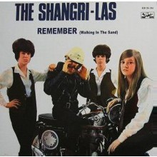 Shangri-Las "Volume 2 - Remember (Walking In The Sand)" LP