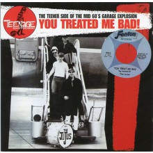 TEENAGE SHUTDOWN "YOU TREATED ME BAD" cd