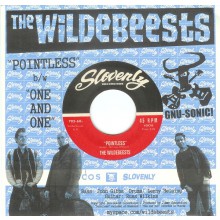 WILDEBEESTS "POINTLESS/ ONE AND ONE" 7"