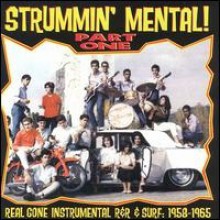 STRUMMIN' MENTAL PART 1 CD