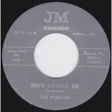 POSSUMS "SHE'S LOVING ME/KING IN HIS WORLD" 7"