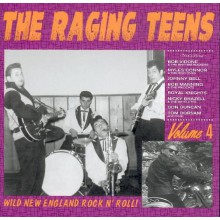 RAGING TEENS Volume 4 CD
