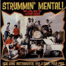 STRUMMIN' MENTAL Part 3 CD