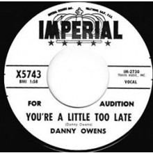 DANNY OWENS "YOU’RE A LITTLE TOO LATE /I THINK OF YOU" 7"
