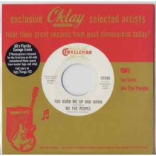 WE THE PEOPLE "You Burn Me Up And Down / In The Past" 7"