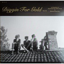DIGGIN' FOR GOLD Vol 15 LP