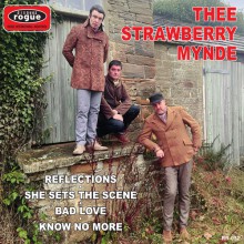 STRAWBERRY MYNDE "Reflections" 7"