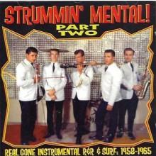 STRUMMIN' MENTAL Part 2 CD