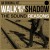 SOUND REASONS "Walk With My Shadow" LP