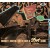 THAT'll FLAT GIT IT VOL 41 CD