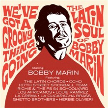 We've Got A Groovy Thing Going (V.A.) Double LP