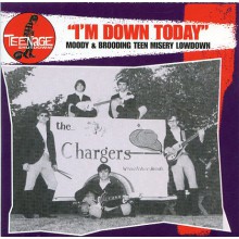 TEENAGE SHUTDOWN "I'M DOWN TODAY" cd