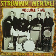 STRUMMIN' MENTAL VOLUME 5 LP