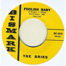 BRIKS "FOOLISH BABY/CAN YOU SEE ME" 7"