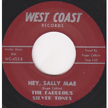 Fabulous Silver Tones ‎"Hey, Sally Mae / Stranger In Paradise" 7"