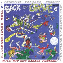 BACK FROM THE GRAVE Volume 6 LP