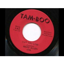 RICKY ALLEN "CUT YOU LOOSE / SOUL STREET" 7" 