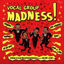 VOCAL GROUP MADNESS! LP