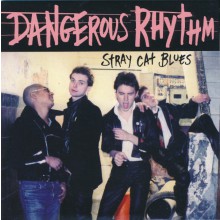 DANGEROUS RHYTHM "Stray Cat Blues" 7"