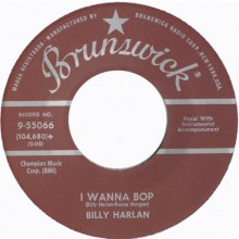 Billy Harlan ‎"School House Rock / I Wanna Bop" 7"