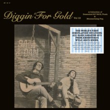 DIGGIN' FOR GOLD Vol 13 LP