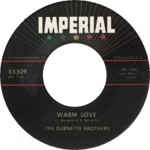 Burnette Bothers "Warm Love / My Honey" 7"