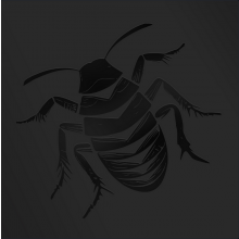 ROACH SQUAD "S/T" LP