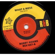 BOBBY ADAMS "What A Mess" / OTIS RUSH "Homework" 7" 
